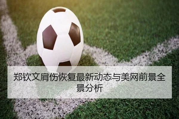 郑钦文肩伤恢复最新动态与美网前景全景分析
