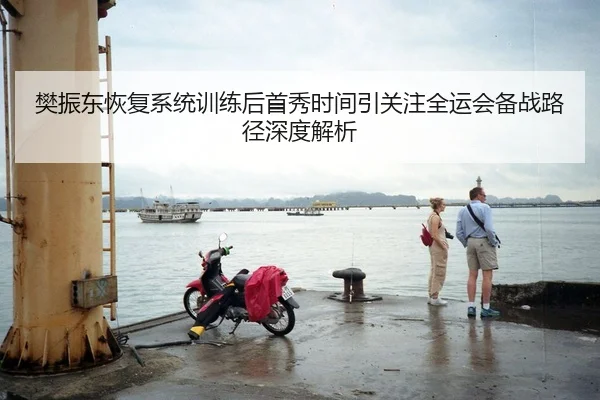 樊振东恢复系统训练后首秀时间引关注全运会备战路径深度解析